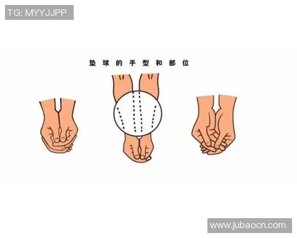 排球新手必看：从零基础到实力提升的全面入门攻略