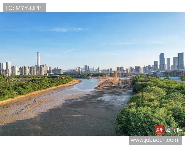 深圳羽毛球队的蜕变之路联合会杯特别报道见证新篇章